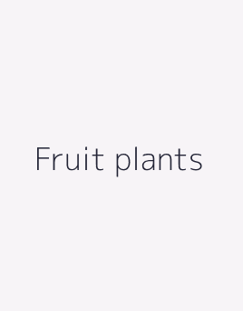 Fruit plants